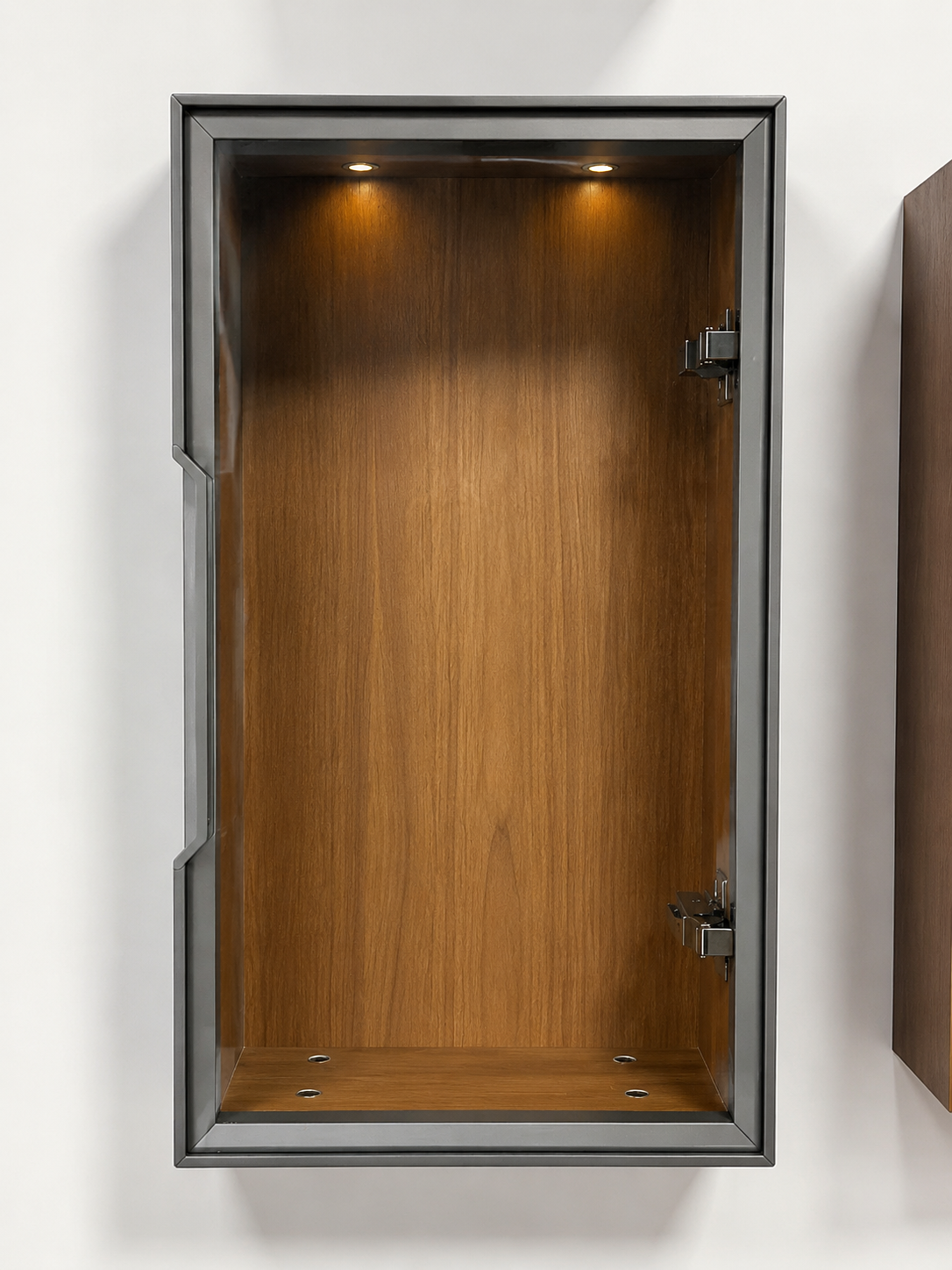 20 Series Full-Frame Minimalist Glass Door with Horn Pull