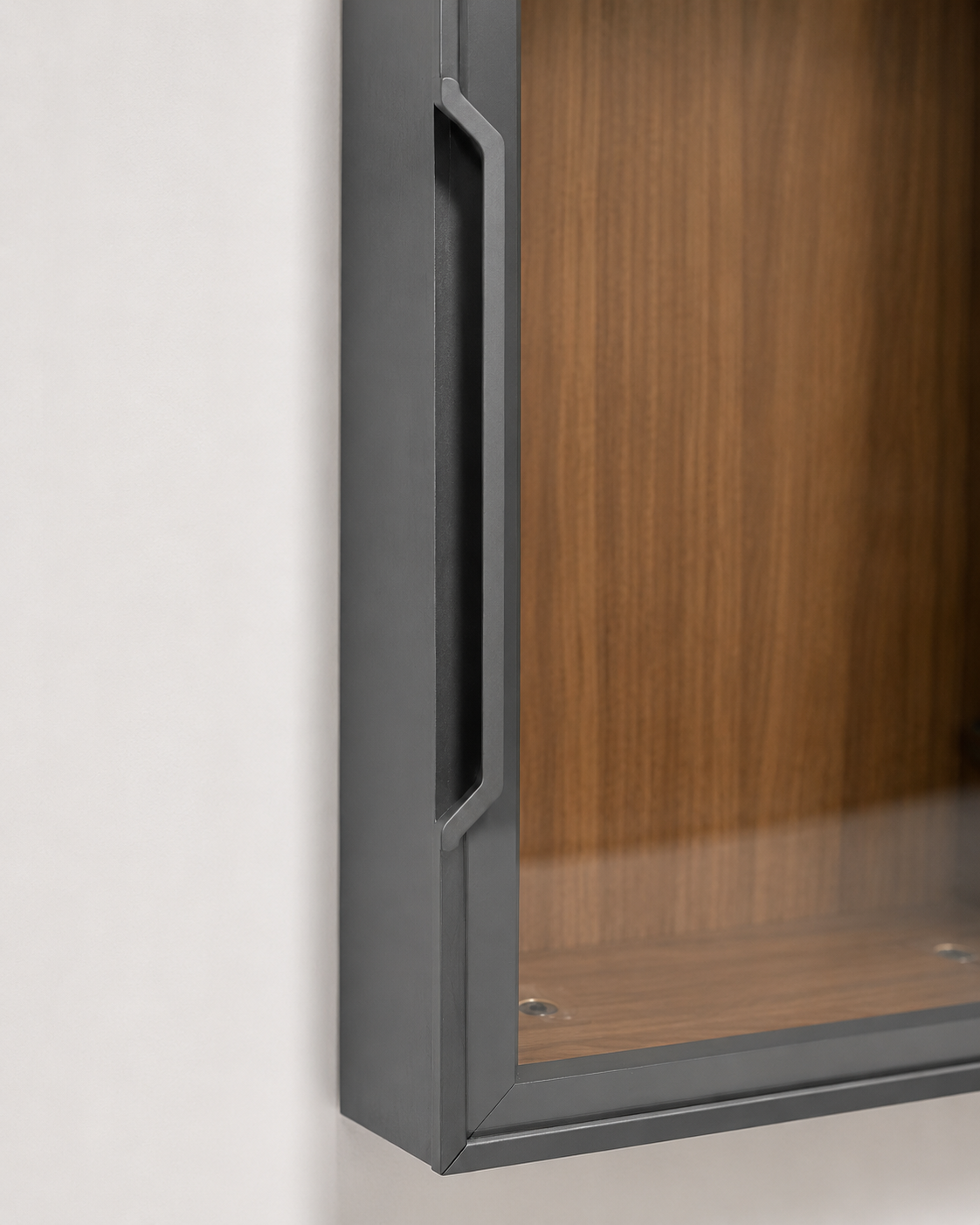 20 Series Full-Frame Minimalist Glass Door with Horn Pull