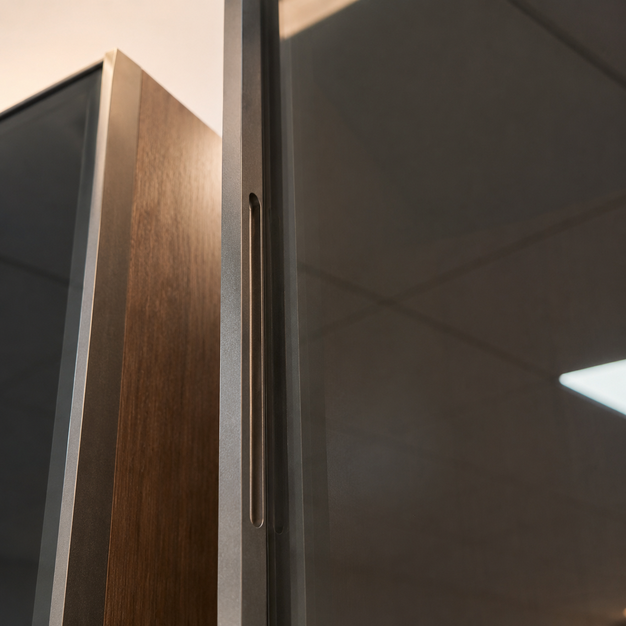 20 Series Full-Frame Minimalist Glass Door with Solid Full-Length Handle